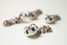 Încărcați o imagine în vizualizatorul galeriei: Flexi Gekkócska