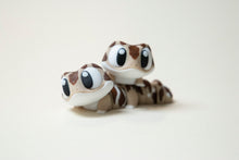 Încărcați o imagine în vizualizatorul galeriei: Flexi Gekkócska