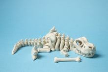 Încărcați o imagine în vizualizatorul galeriei: Flexi Dínó Csontváz, T-Rex