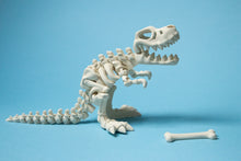 Încărcați o imagine în vizualizatorul galeriei: Flexi Dínó Csontváz, T-Rex