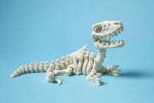 Încărcați o imagine în vizualizatorul galeriei: Flexi Dínó Csontváz, Raptor