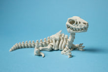 Încărcați o imagine în vizualizatorul galeriei: Flexi Dínó Csontváz, Raptor