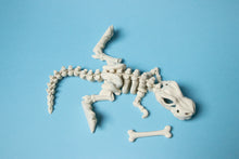 Încărcați o imagine în vizualizatorul galeriei: Flexi Dínó Csontváz, T-Rex
